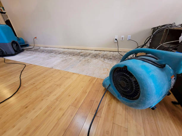 Professional Water Removal technician working in Willow Spring, NC